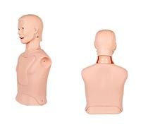Modelo De Tubo Gástrico Para Intubación Endotraqueal. Maniquí De Medio Cuerpo Para Práctica De Enfermería. Modelo De Entrenamiento De Alimentación Nasogástrica Con Tubo Gástrico. Modelo De Traqueotom