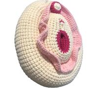 Modelo de vulva y clítoris de punto, modelo genital femenino, modelo de maniquí ginecológico, modelo de combinación de vulva, for estudio y comunicación.(White)