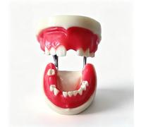 Modelo dental, juego de 28 piezas de dientes removibles para estudiantes y profesionales, herramienta de entrenamiento anatómicamente precisa para educación y demostración a pacientes.