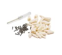 Modelo dental Typodont, modelo dental, modelo de dientes de encía, modelo de enseñanza con dientes extraíbles 28/32 modelo/juego