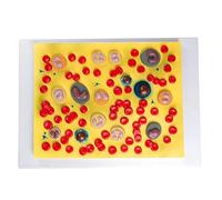 Modelo didáctico de células sanguíneas humanas, corte transversal ampliado 2000X, con identificación numérica clara for formación educativa en anatomía.