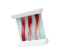 Modelo dinámico de vasos sanguíneos de simulación para enseñanza médica con efecto realista de flujos sanguíneos y comparación patológica, modelo vascular de enseñanza clínica
