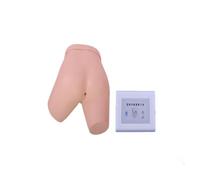 Modelo electrónico de entrenamiento de enema/adecuado for entrenamiento de enema, con indicaciones del controlador