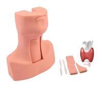 Modelo entrenamiento intubación traqueal desmontable para urgencias