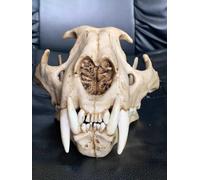 Modelo felino Cráneo de leopardo de las nieves, espécimen de dientes de huesos de cráneo de animal realista, modelo de cabeza de esqueleto de decoración del hogar personalizado for educación