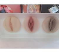 Modelo ginecológico femenino, modelo de vulva/clítoris, modelo de tracto reproductivo de uretra y prepucio, exploración en profundidad, for enseñanza intuitiva y operación práctica.(White upgrade)