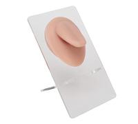 Modelo Lengua Silicona, Modelo Flexible Parte Del Cuerpo Falsa Lengua Flexible Acupuntura 3D Modelo Exhibición Piercing Para La Simulación Modelos Humanos Acupuntura (Color de piel medio)