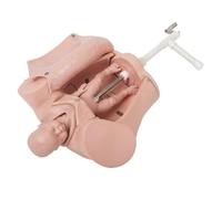 Modelo Manual de Entrenamiento de Parto para Parteras Modelo Anatómico del Cuerpo Humano con Feto, Placenta y Cordón Umbilical, Anatomía Humana Detallada