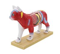 Modelo profesional de acupuntura veterinaria con puntos meridianos, modelo de anatomía canina y felina para entrenamiento clínico, anatomía animal