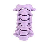 Modelo profesional de anatomía de la columna cervical a escala 1: 1 con piezas desmontables para demostración en Entrenamiento clínico Modelo de enseñanza clínica