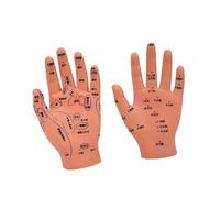 Modelo Realista De Anatomía Del Bebé Entrenamiento Masaje Infantil Para Puntos Acupuntura Pediátricos Práctica Masaje Y Herramienta Enseñanza Desarrollo Habilidades Para Cuidado Del