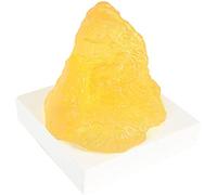 Modelo réplica de grasa corporal humana, modelo anatómico realista de grasa, modelo de anatomía de grasa de tamaño real para nutricionistas, curso de ciencia anatómica para estudiantes de medicina.