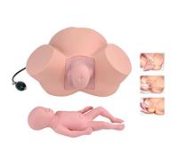 Modelo simulado de la parte inferior del cuerpo de una mujer embarazada Modelo de entrenamiento de partería de parto Simulador Tamaño de la vida Demostración Obstetricia Ginecología Posiciones fetales
