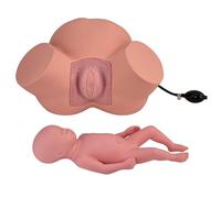 Modelo simulador de parto infantil para entrenamiento de distocia y parto, ancho de pelvis ajustable con bolsa inflable, ideal para educación obstétrica y ginecología