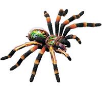 Modelos de anatomía de araña 4D, modelo anatómico animal con 33 partes extraíbles de órganos y partes del cuerpo, modelo de enseñanza médica for estudio.