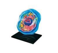 Modelos de Anatómico Células Animales Desmontables 4D, Modelo Celular Visual de 24 Partes, Herramientas Didácticas de Biología para la Investigación y el Estudio de la Microbiología