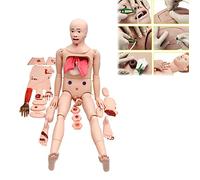 Modelos Esqueleto anatómico, Modelo atención traumas Humanos, 170 cm, Modelo Humano anatómico Multifuncional, maniquí Entrenamiento avanzado traumas, 24 módulos heridas, maniquí atención para homb