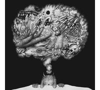 Modern Color - There Goes The Dream [Vinyl LP] [VINYL] [Vinilo]