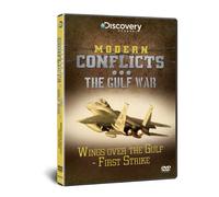 MODERN CONFLICTS - THE GULF WAR: Wings Over The Gulf - First Strike [DVD] [Reino Unido]