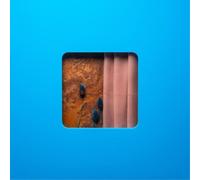 Modern Error - Victim Of A Modern Age (2 LP)