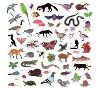 Modern Nature - Island of Noise [Vinilo]