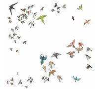 Modern Nature - No Fixed Point in Space [Vinilo]