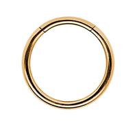 Modern Nature Piercingschmuck Piercing de Aro Segmento Suave Clicker en 1,2mm Fuerza, Seleccionable en Cuatro Variantes Von 6-10mm Diámetro Interior - Rose Gold