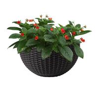 Modern Wall Mount Flower Container Elegant Basket Decorative Holder