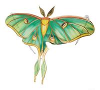 Moderno adorno colgante de mariposa verde para ventana, atrapasueños con efecto de reflejo de luz para jardín, hogar, boda, fiesta de regalo (polilla verde)