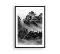 Moderno Cuadros Decorativo 50x70cm Poster da Parete Blanco y negro árboles niebla Cuadros Pared Imágenes Póster Marco Negro Decoracion Salon Dormitorio Cocina Wall Art Prints Decor - P2BPA50x70-4510