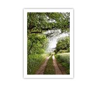 Moderno Cuadros Decorativo 50x70cm Poster da Parete Camino naturaleza bosque verde Cuadros Pared Imágenes Póster Sin Marco Decoracion Salon Dormitorio Cocina Wall Art Prints Decor - P2XPA50x70-2637