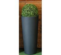 Moderno florero liso redondo Zajsan Ø 38 h 85 en resina antracita con boj de buxus 38 cm
