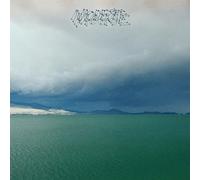 Modest Mouse - The Fruit That Ate Itself [Vinilo]