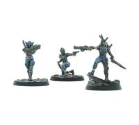 FWW NUKA WORLD RAIDERS DISCIPLES LEADERS Gioco Da Tavolo Modiphius