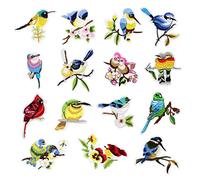 Modixun - Lote de 15 parches termoadhesivos bordados decorativos para coser o planchar para pantalones vaqueros, ropa, sombreros, chaquetas, pájaros