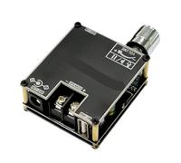 Módulo amplificador digital mono compatible con amplificador mono simple DIY verdaderamente inalámbrico,Claridad de sonido excepcional