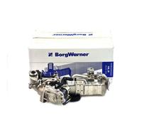 Módulo Borgwarner AGR Para BMW 1er 2er 3er 4er 5er 11718513691