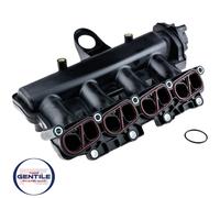 Módulo Colector De Aspiración 1.3 Multijet Fiat Alfa Romeo Opel 55207035
