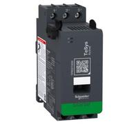 Schneider Electric TeSys IslAnd fieldbus Periférico descentralizado - Interruptor automático - TPRST009