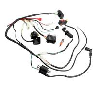 Módulo de Bobina Arnés Cableado CDI Bobina Encendido Rectificador Relé Enchufe Interruptor Bloqueo Puerta Eléctrico Conjunto Quad Dirt Bike