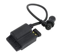 Módulo de Bobina de Encendido, Compatible con Piaggio Fly 50 4T 2006-2007 Liberty 50 4T 2005-2008, Caja de Bobina de Encendido CDI para Motocicleta