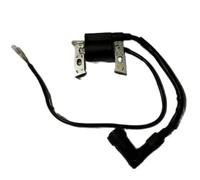 Módulo de bobina de encendido Magneto apto for motores generadores TG3000 163CC 3000 W