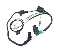 Módulo de Bobina Para 50Cc-160Cc SSR Thumpstar Kick Start Pit Dirt Bike A02K-Motors Cableado Telar Arnés Kill Switch Bobina De Encendido CDI