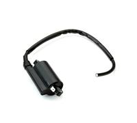 Módulo de Bobina para Hyosung GT Comet R 250 GV Aquila MS3 E3 250cc TE Rapier ATV 450 Bobina De Encendido Motocicleta Bobina Encendido