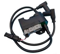 Módulo de encendido de motos de nieve compatible con Freestyle Touring Varios modelos, OEM 512059518 512060040, almacenamiento óptimo de senderos de rendimiento del motor, ajuste amplio 2000-2010