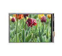 Módulo de Pantalla a Color 320x480 Ultra HD Pantalla no táctil de 3,5 Pulgadas para proyectos de Bricolaje Material de cartón sintético