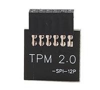 Módulo de Seguridad de Cifrado TPM2.0 para Win 11 2.0, Placas Base GIGABYTE, SPI de 12 Pines, Computadora Individual
