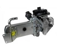 ERA 555106A Modulo EGR