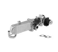 Wahler Módulo EGR 710861D Válvula de escape