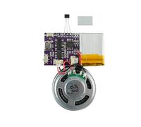 Módulo de Voz, Chips de Sonido MP3 activados con Sensor magnético, módulo de Sonido de 16 MB para Manualidades, Navidad, Año Nuevo, Tarjetas de felicitación y Caja con Altavoz, batería de Litio y